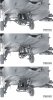 Meng Model QS-005S AH-64 D Saraf - Heavy Attack Helicopter (Israeli Air Force) with Figures 1/35